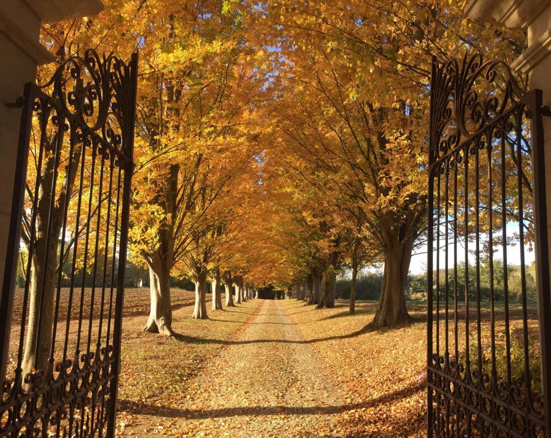 Maison Gascony L'Isle-de-Noe 外观 照片